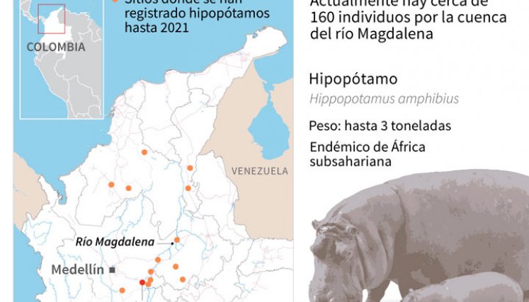 Hipopótamos registrados en Colombia