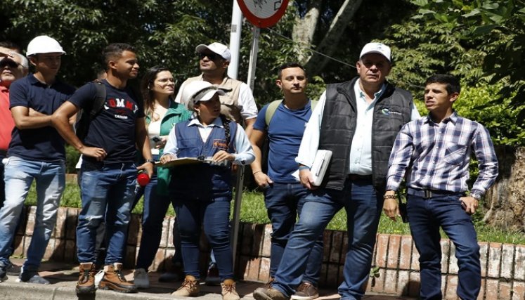 En Ocaña los árboles pasan a revisión fitosanitaria donde los expertos determinan si son talados. /Foto: Cortesía.