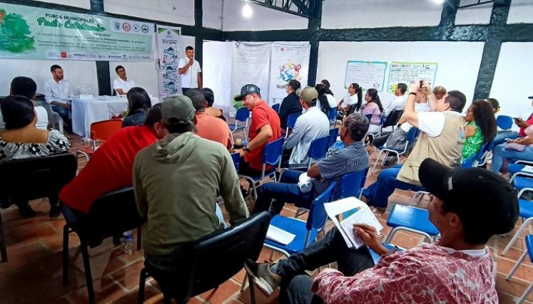 Foros en el Catatumbo