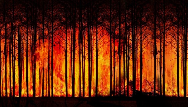 Cambio-climático / Foto: Internet