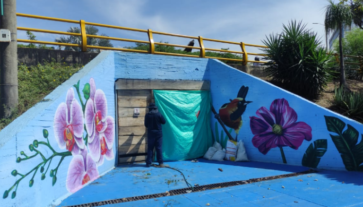 Grafitis Puente de Guadua