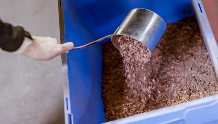 Granos-de-cacao. / Foto: AFP