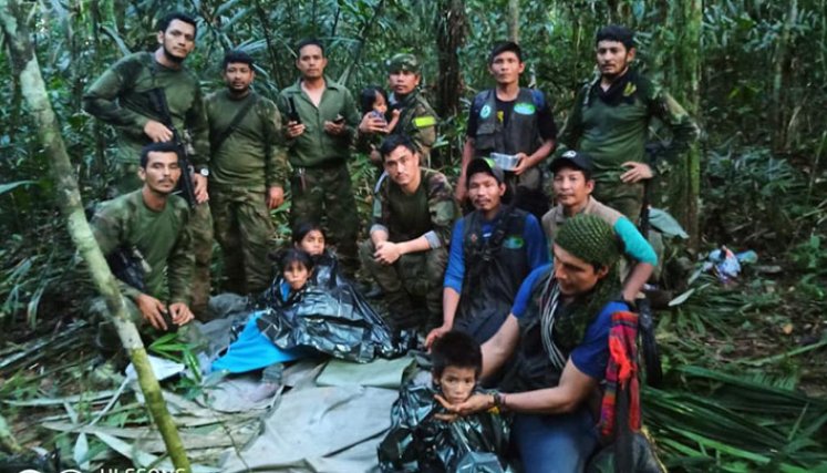 Niños desparecidos en la selva 