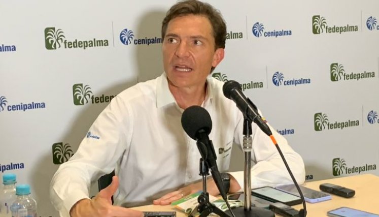 Nicolás Pérez Marulanda, presidente ejecutivo de Fedepalma