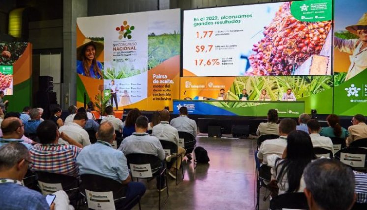 Palmeros registran cifras históricas en producción de aceite y exportaciones 