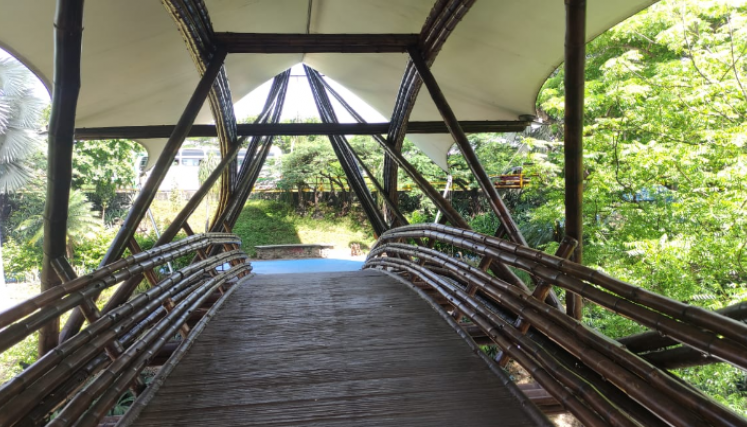 Puente de Guadua 
