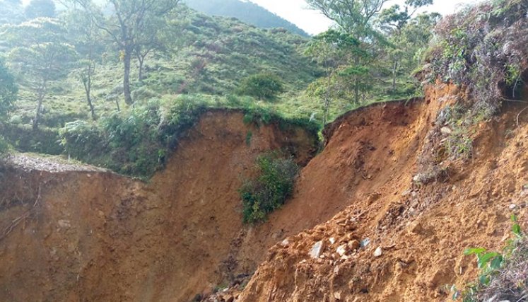 Incomunicadas ocho veredas en Bucarasica