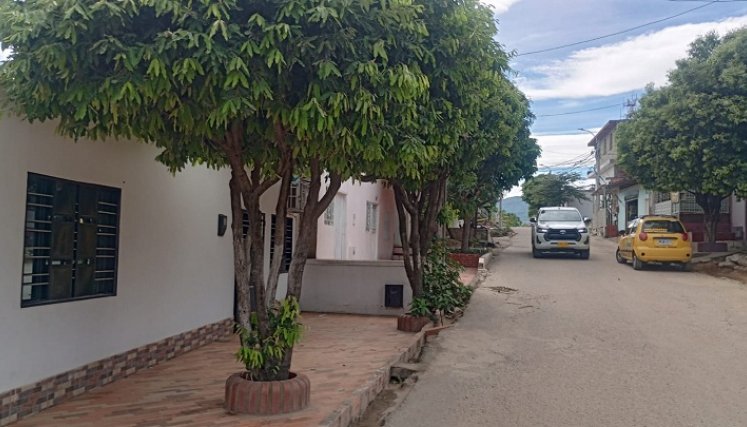 Los desconocidos llegaron en una Suzuki GN, negra, y le dispararon al árbol, ventana y pared.
