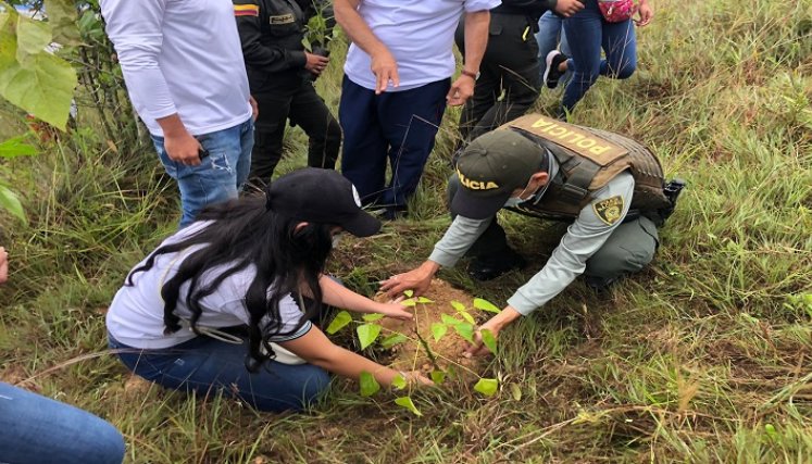 El Gobierno Municipal trabaja en actividades de educación y control ambiental para lograr una conciencia colectiva y una ciudad más sostenible./ Foto: Cortesía