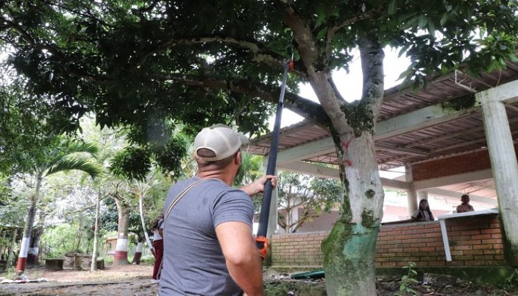El Gobierno Municipal trabaja en actividades de educación y control ambiental para lograr una conciencia colectiva y una ciudad más sostenible./ Foto: Cortesía
