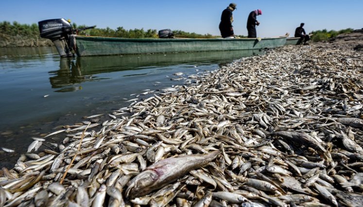 Cambio-climático / Foto: AFP