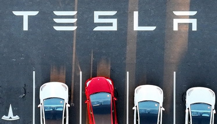 Carros-Tesla. Foto: AFP
