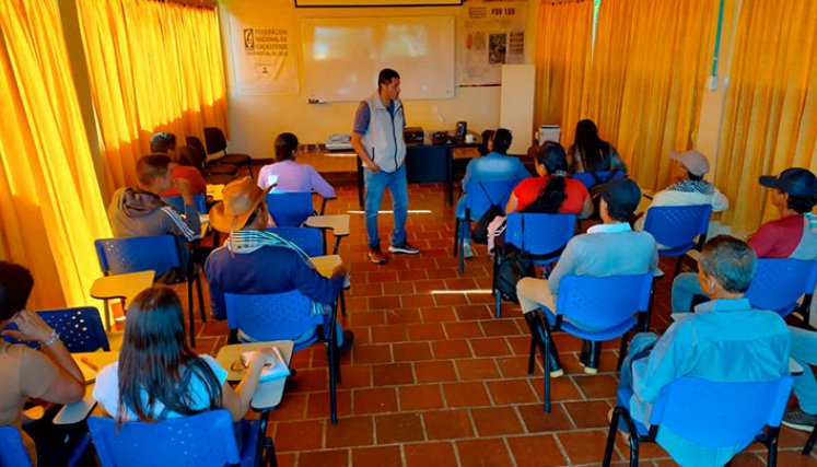 Los campesinos reciben el apoyo y asesoría de la Secretaría de Posconflicto y Cultura de Paz. / Foto: Cortesía
