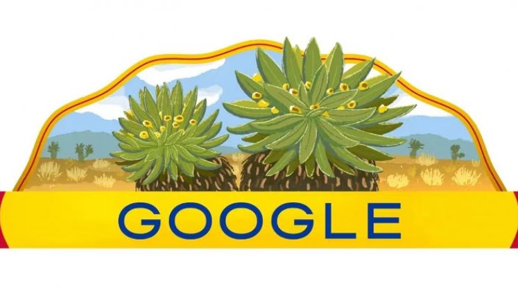 google-independencia