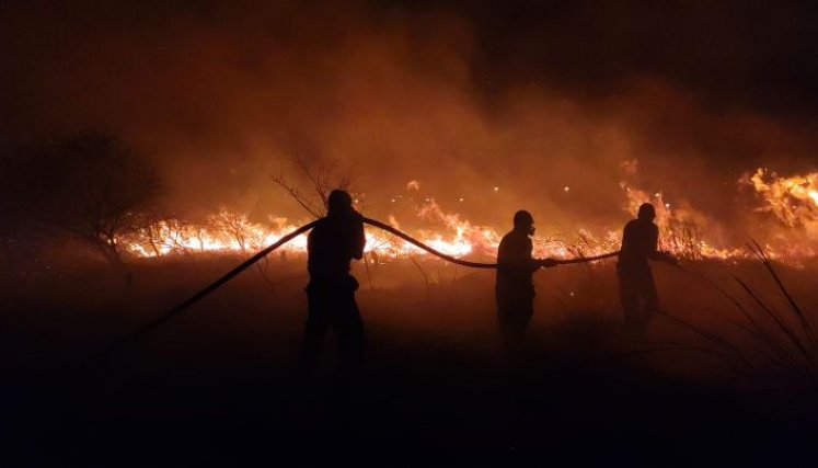 Incendio cerro Tasajero