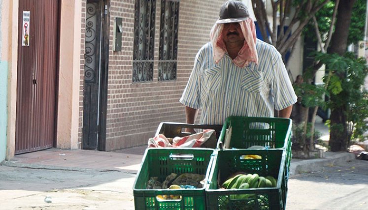 Según la OIT, los ocupados pierden hasta un 50% de su capacidad laboral cuando la temperatura supera los 33 grados. / Foto Archivo