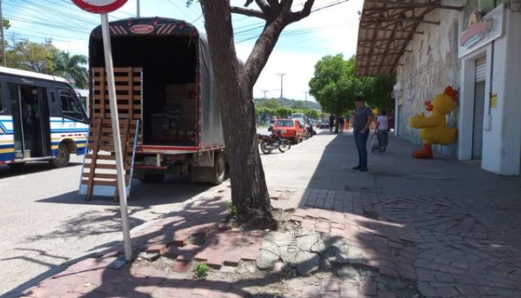 En Cenabastos un gigantesco nim destruyó el andén./Foto Orlando Carvajal/La Opinion