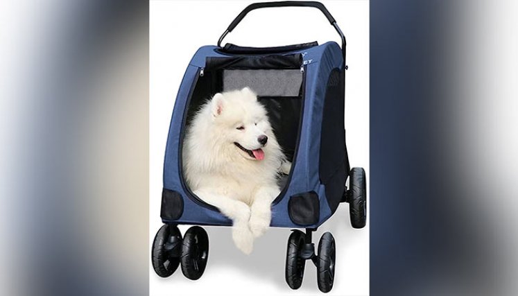 Una de las grandes novedades en el mercado son los coches para pasear a las mascotas.