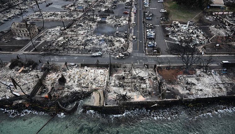 Incendio Maui