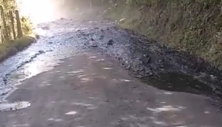Oleoducto Caño Limón-Coveñas