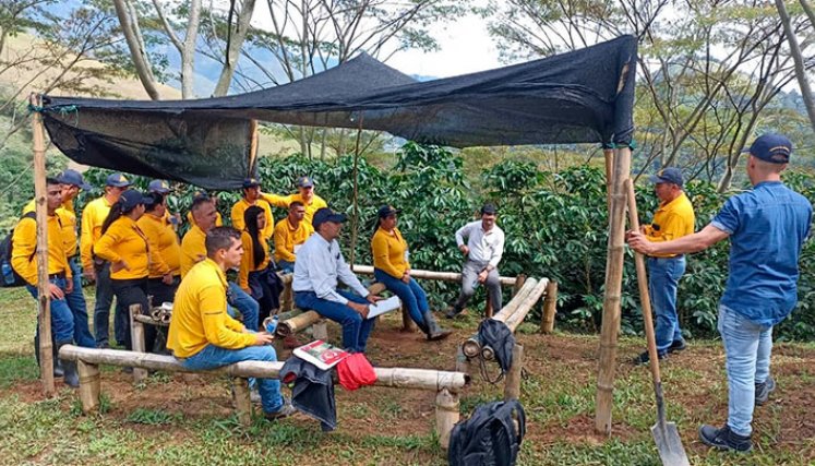 Los extensionistas se han convertido en aliados indispensables de los productores, según la FNC./ Foto Cortesía