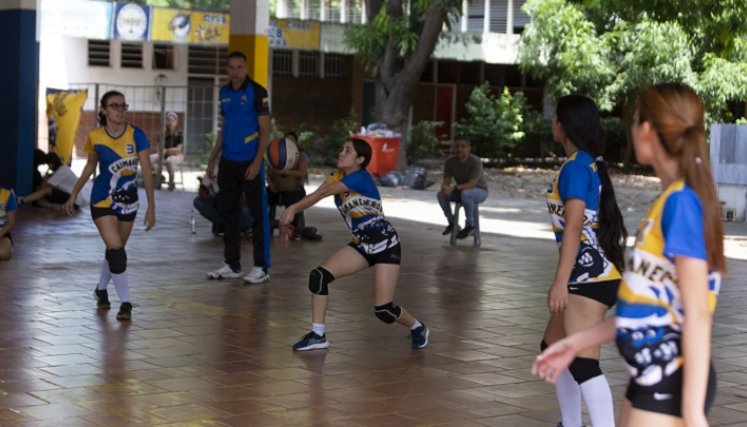 El sexto Caimaneros de voleibol se prepara para competir en Medellín.