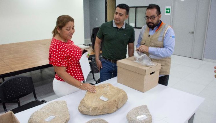 Entrega de elementos a la Secretaría de Cultura de Los Patios. Se espera que la mayoría de piezas sean museables./ Fotos: Cortesía/ La Opinión 