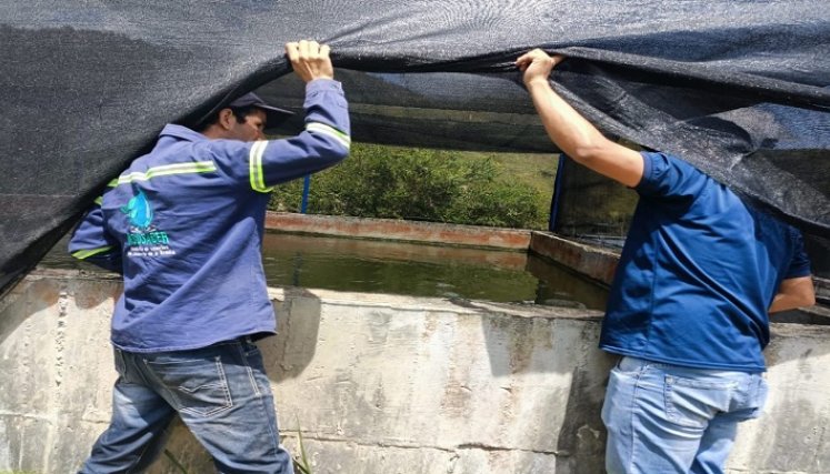 En la vereda San Antonio sur tienen la esperanza de tomar agua potable./ Foto: Cortesía