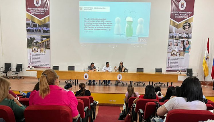 Orientaciones en salud mental 
