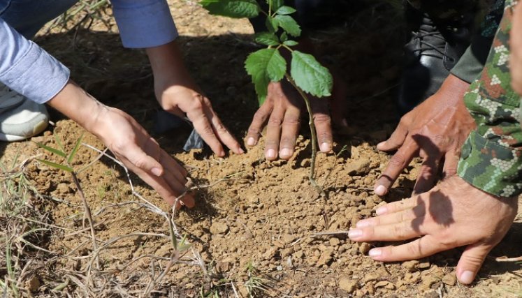 En la provincia de Ocaña los campesinos están comprometidos con el cuidado del medio ambiente. /Foto: Cortesía