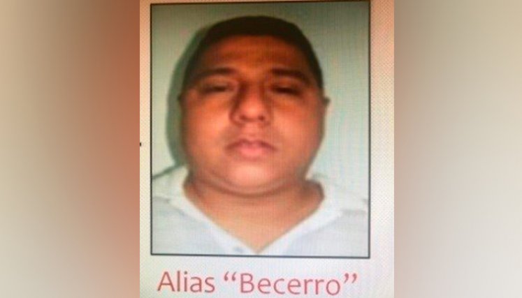 Captura de Becerro.
