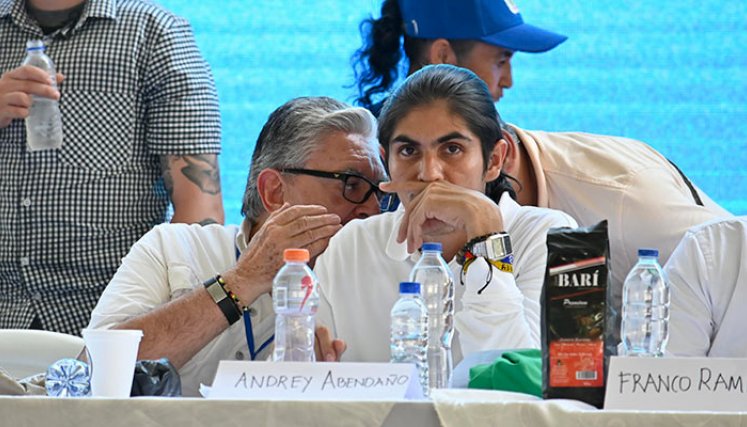 Disidencia de las Farc