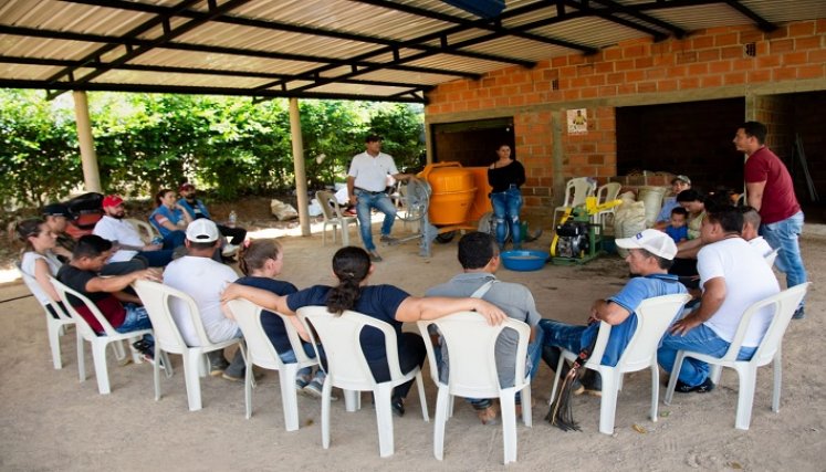 La Agencia para la Reincorporación y la Normalización adelanta proyectos productivos en el Catatumbo./ Foto: Cortesía