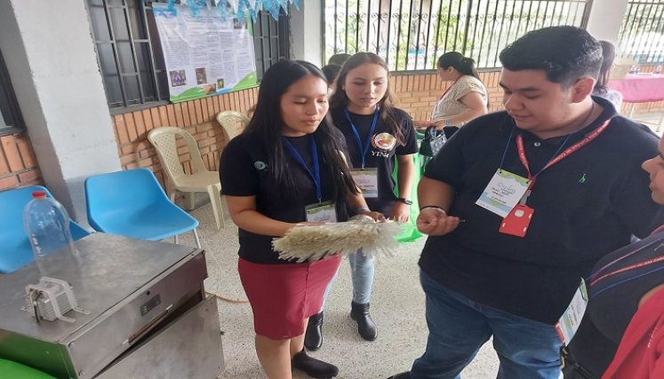 Niños campesinos elaboran las escobas con envases plásticos para, además, erradicar los mosquitos del dengue./ Fotos Cortesía
