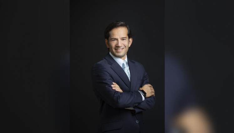 Insolvencia empresarial en Colombia: el reto para el desarrollo económico  colombiano