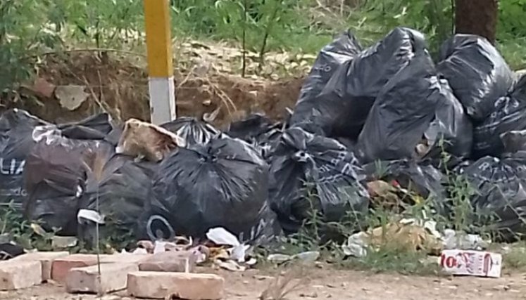 Los vecinos dicen que la empresa no lo va a recoger, en cambio, Veolia afirma que sí