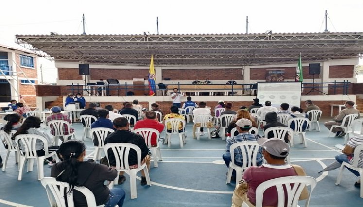 Un sueño frustrado de continuar los estudios superiores tienen las víctimas del conflicto armado en Ocaña./ Foto: Cortesía.