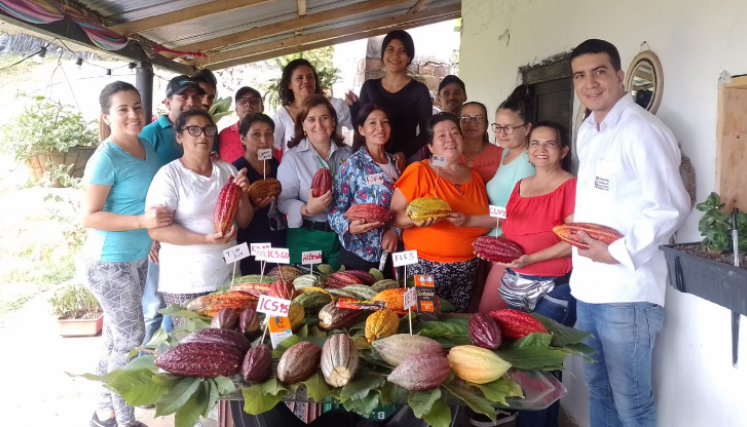 De acuerdo con Fedecacao, para el 2021 en Santander se produjeron 28.037 toneladas de cacao, lo que representa un 40,6% de la producción nacional de este grano y consolida al departamento como principal productor en el país.  