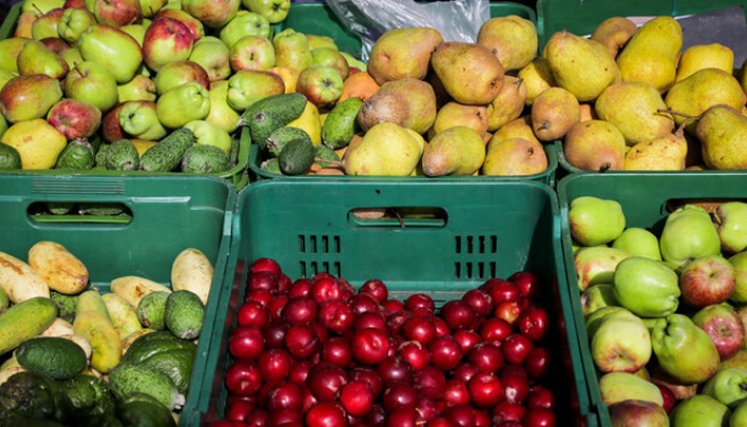 frutas