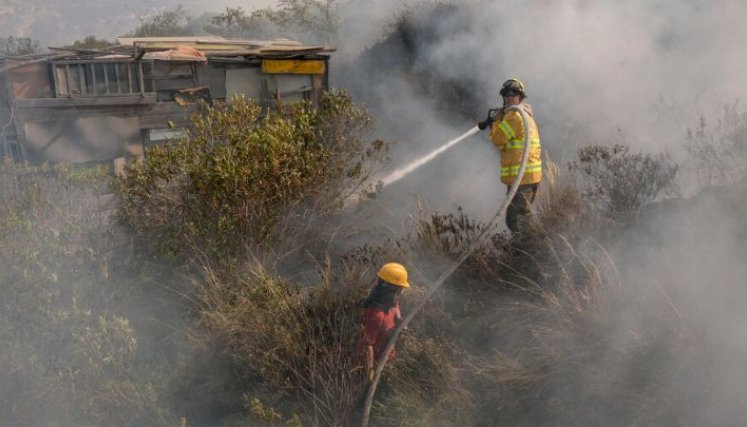 Incendios forestales no cesan en el país./Foto Colprensa