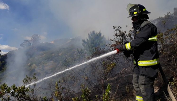 Incendios forestales en Colombia. / Foto: Colprensa