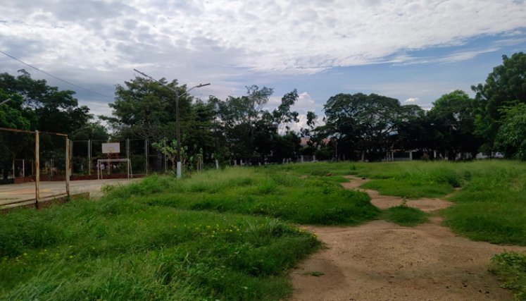 Lote abandonado en Niza