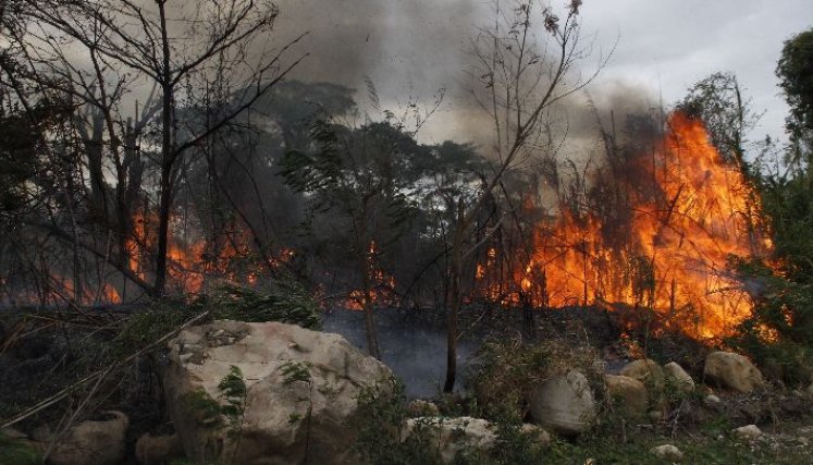 Hay más de 30 municipios de Norte en alerta roja por la amenaza de incendios en cobertura vegetal.