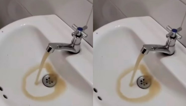 Aqualia