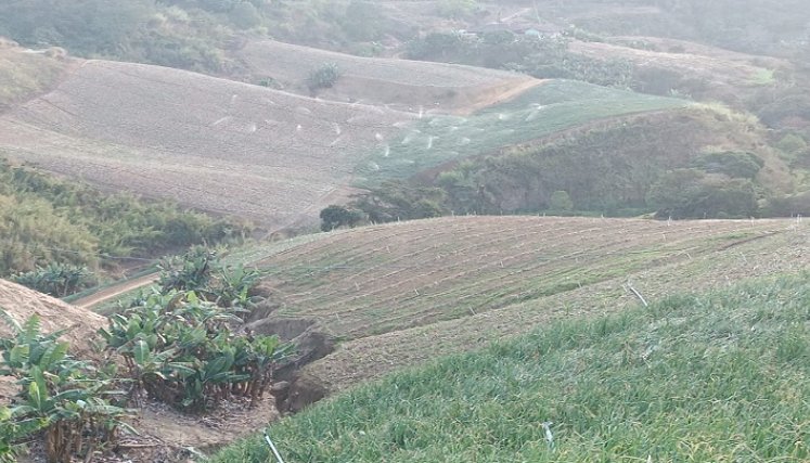 La crisis alimentaria en los campos de la zona del Catatumbo se puede mitigar con energías limpias./ Foto: Cortesía.