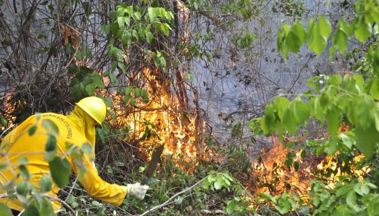 Según Corponor, entre 80 y 90 por ciento de los incendios forestales inician en quemas controladas.
