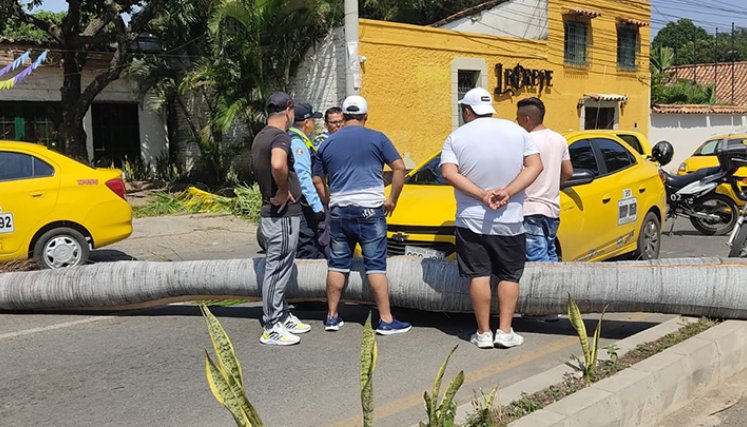 taxista