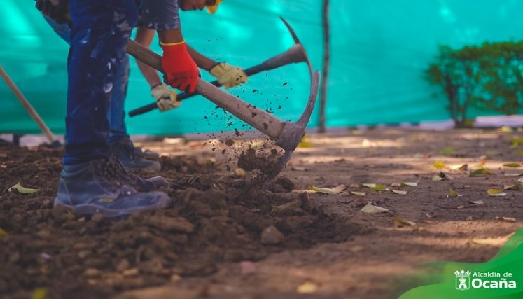 Trabajos de recuperación de las zonas verdes se adelantan en el parque principal de Ocaña./ Foto: Cortesía