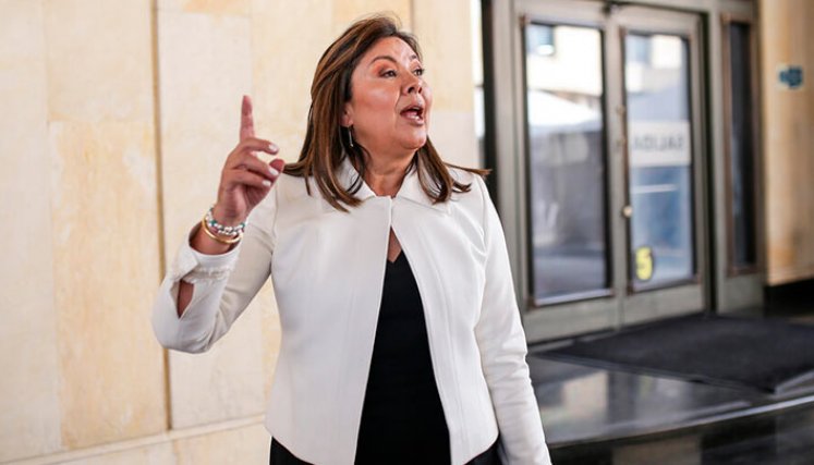 Fiscal General
