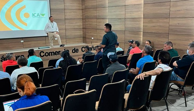Se definieron siete sitios de siembra para evaluar las semillas. /Foto Cortesía